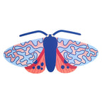 FALENA ORNATA