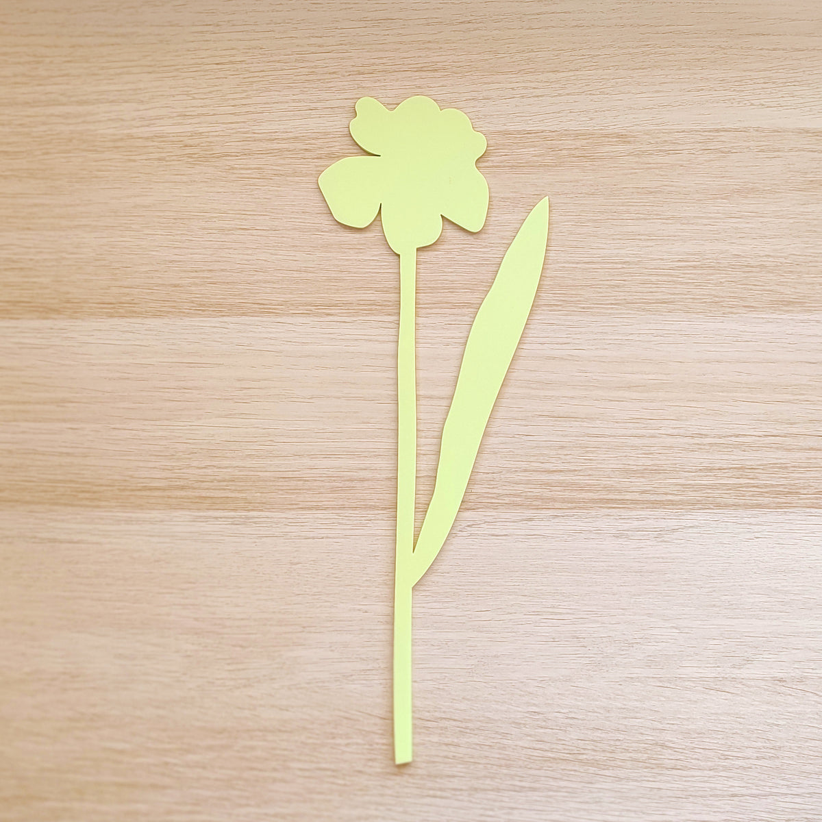 Fiore narciso verde chiaro, su piano in legno chiaro, BECCA