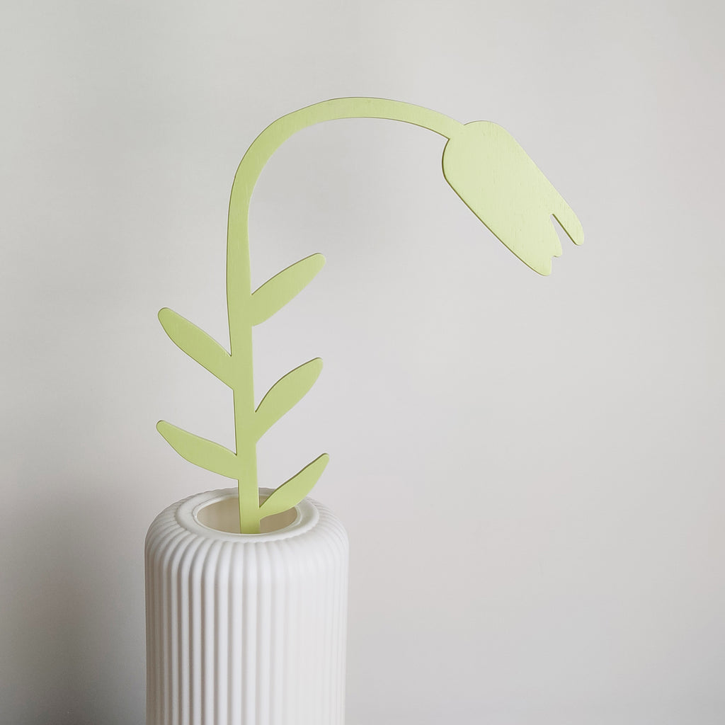 Fiore verde, tulipano, in vaso bianco, BECCA