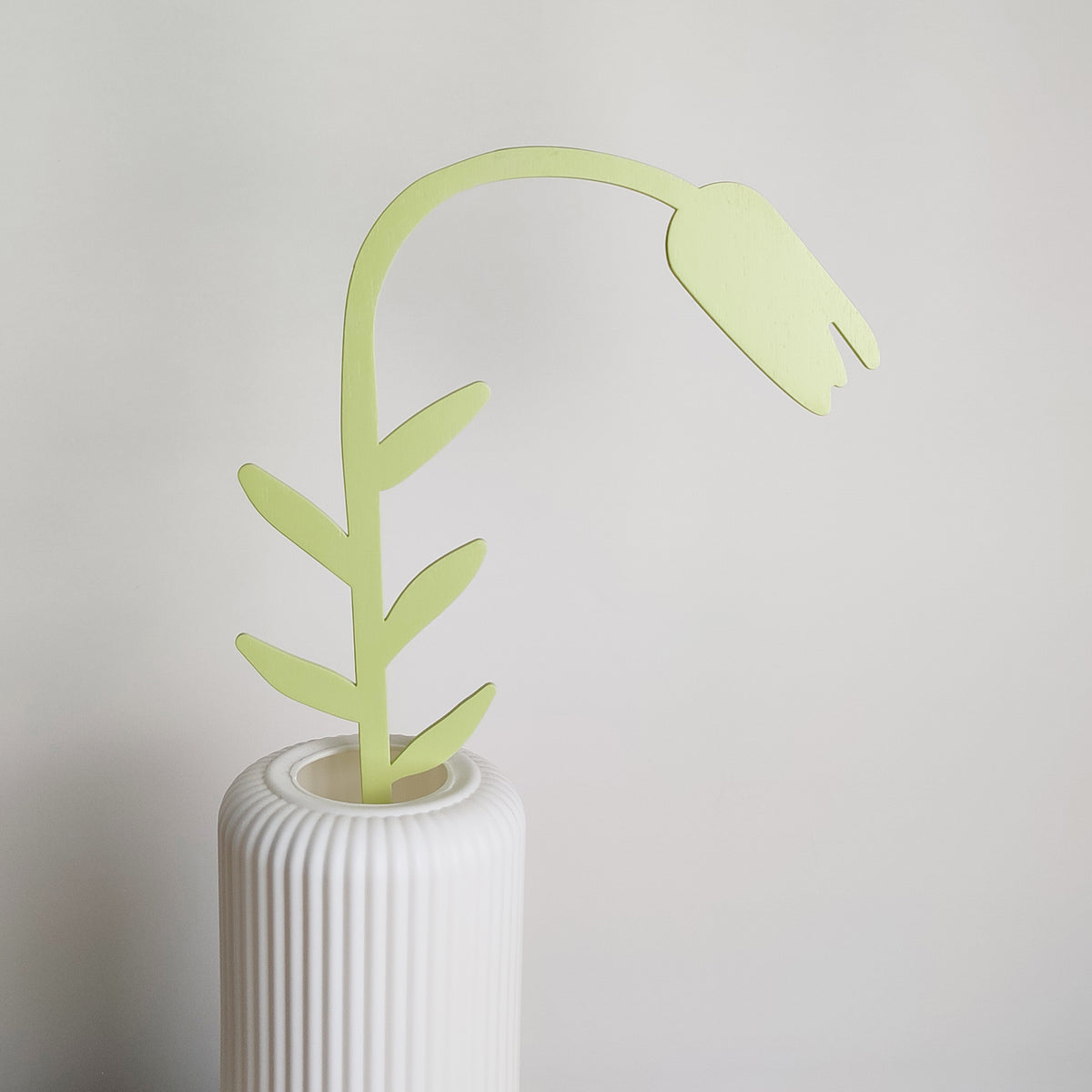 Fiore verde, tulipano, in vaso bianco, BECCA