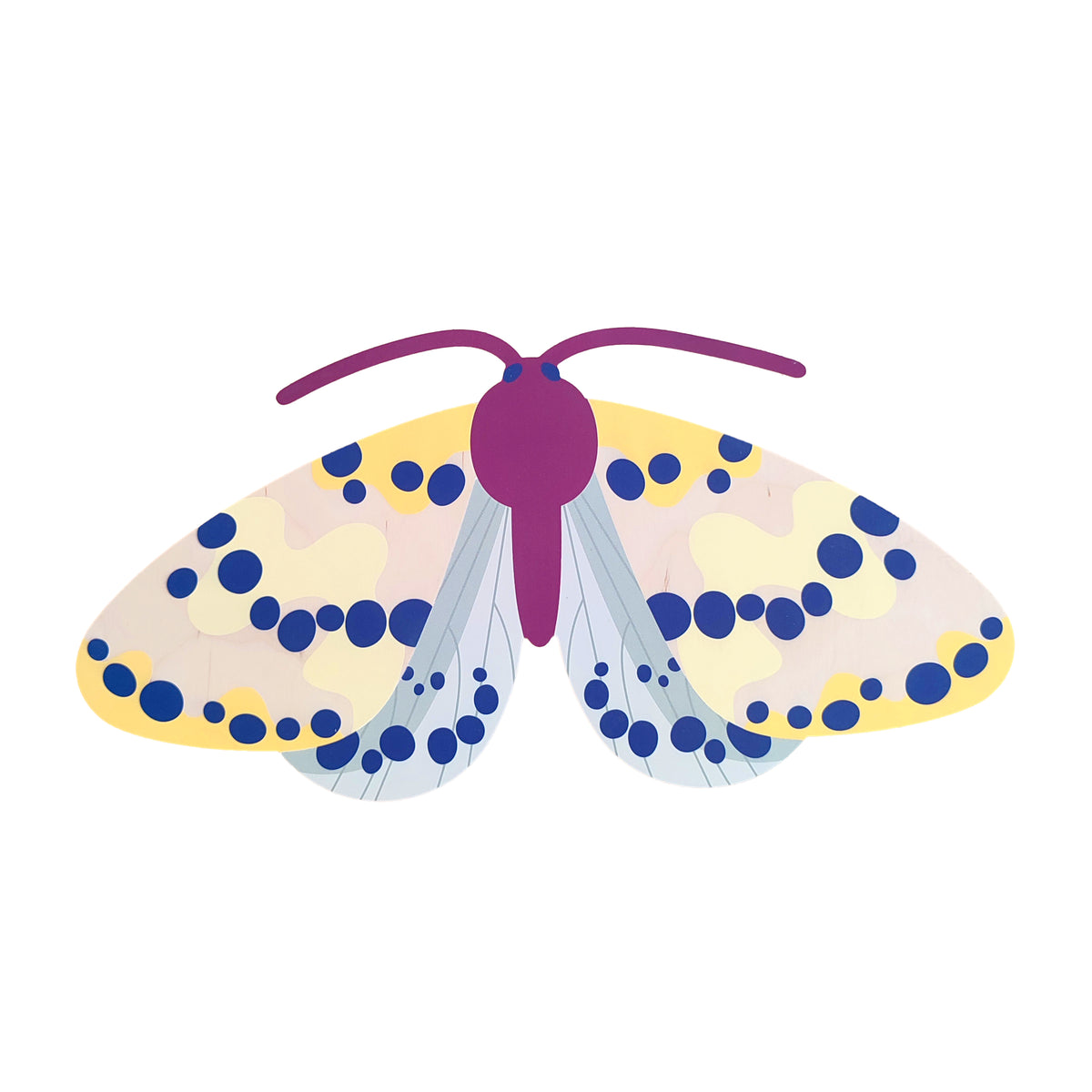 FARFALLA MAGPIE