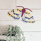 FARFALLA MAGPIE