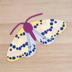 FARFALLA MAGPIE