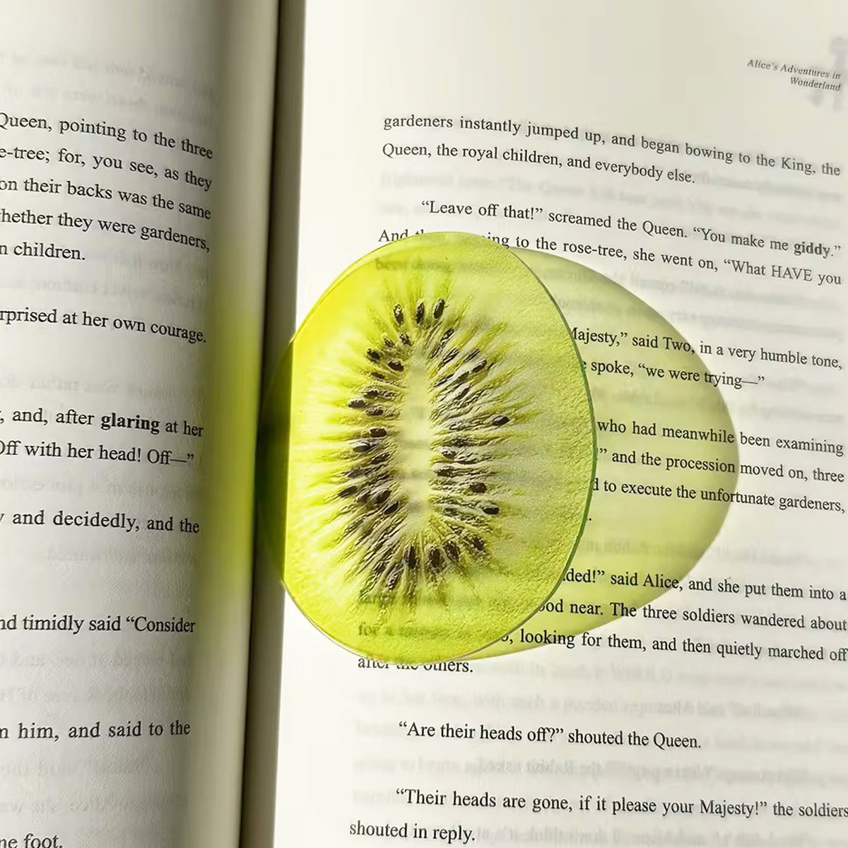 Segnalibro kiwi in acrilico su libro, BECCA