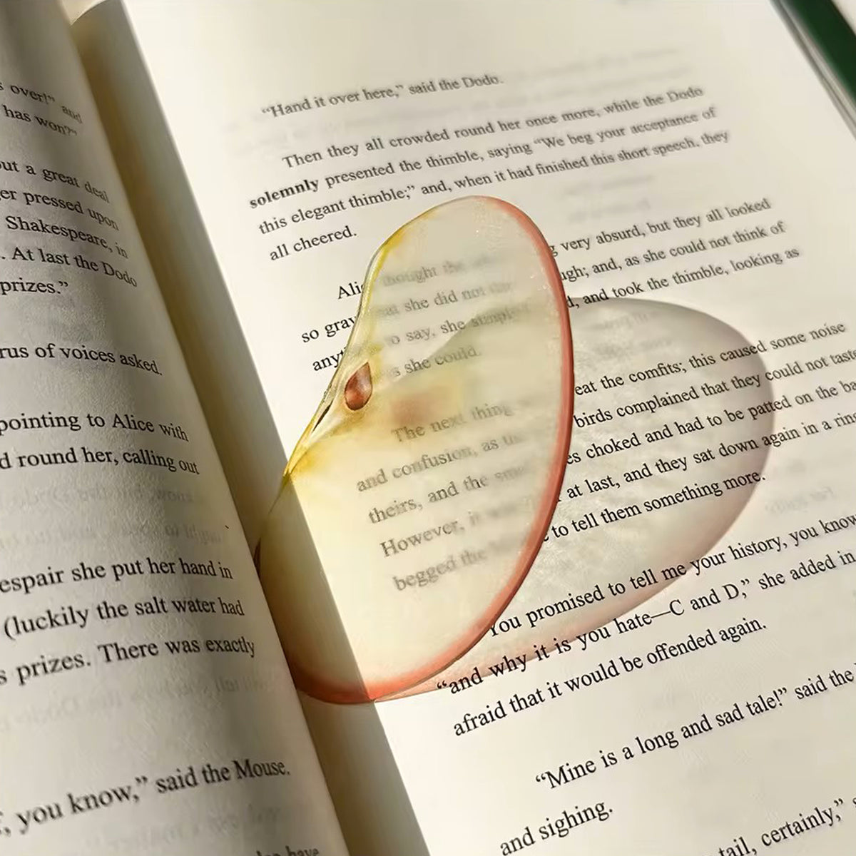 Segnalibro mela, trasparente su libro, BECCA