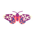 FALENA TIGRE