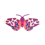 FALENA TIGRE