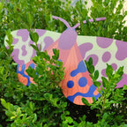FALENA TIGRE